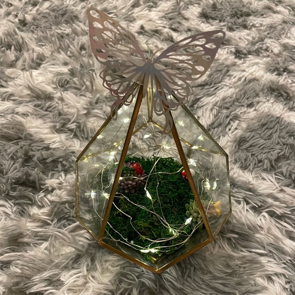 Terrarium - Picture 1 of 2